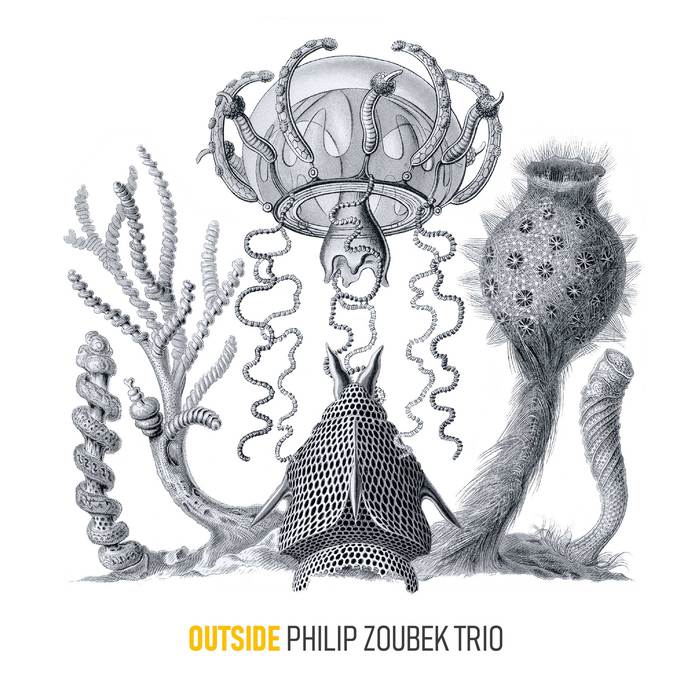 Philip Zoubek Trio »Outside«